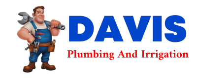 Trusted plumber in PLUMMER